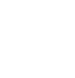 L white