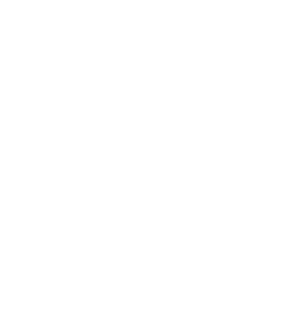 x white